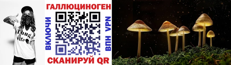 МЕГА ONION  Валуйки  Галлюциногенные грибы Psilocybe 