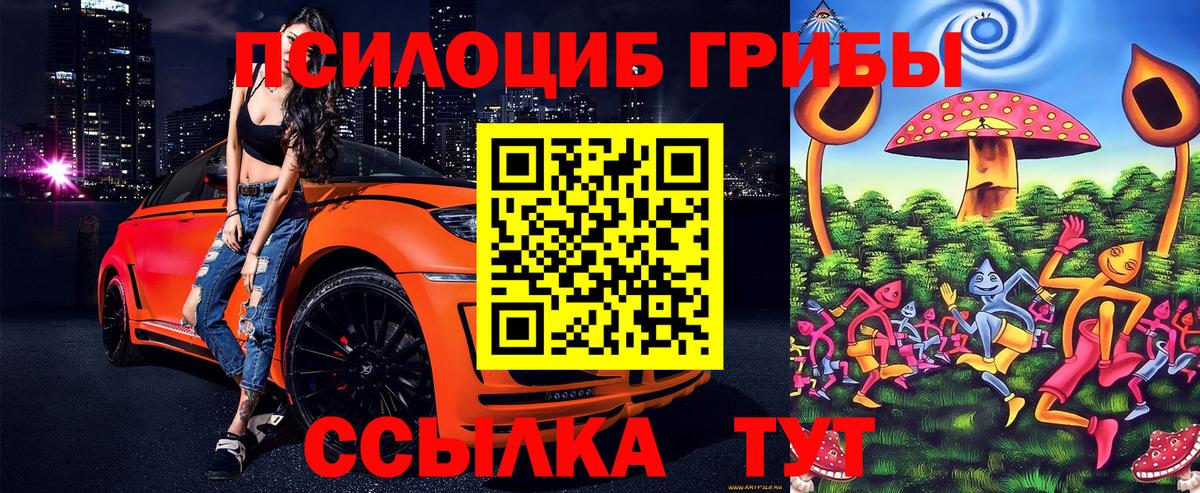 Галлюциногенные грибы MAGIC MUSHROOMS Валуйки